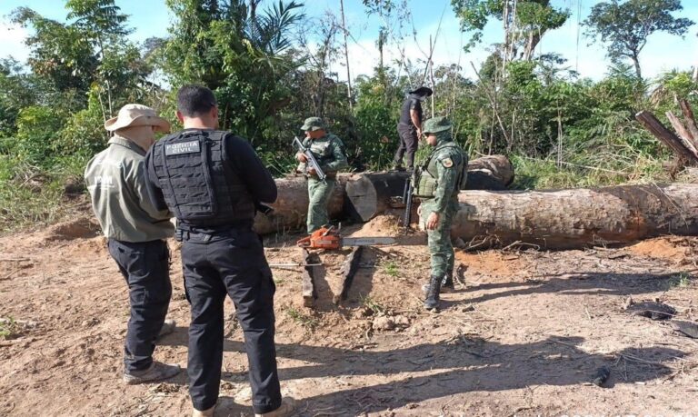 Bruno Roberto deve ser ouvido pela polícia sobre a morte de Djidja