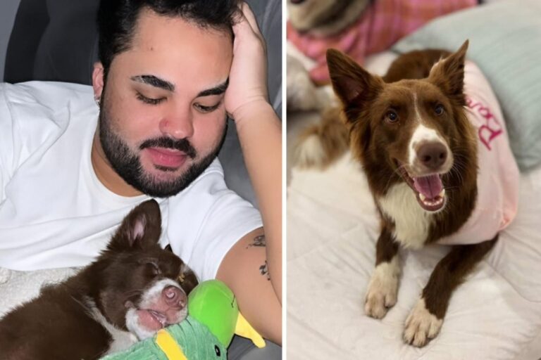 Lucas Guedez e a cadela Chloe